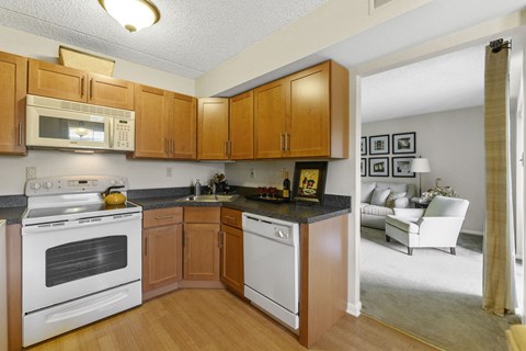 Aspen Kitchen